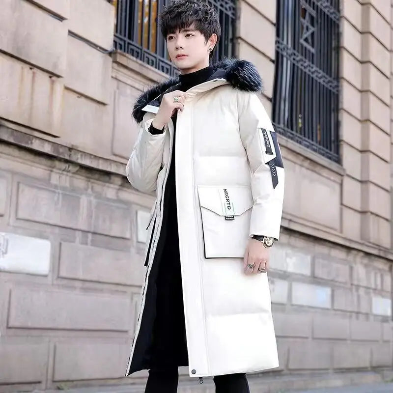 Sc2317635240a4aa68339ef7228083447V